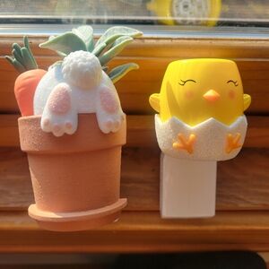 2 Wallflowers Easter Spring